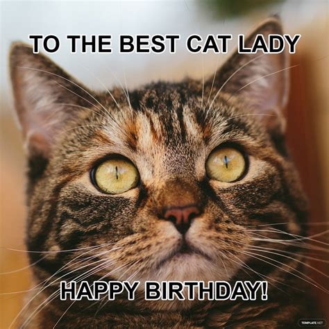 happy birthday cat pics|cat lover birthday images.